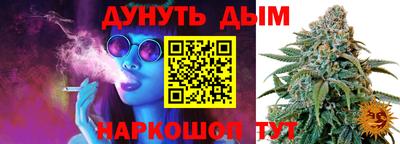 индика Апшеронск