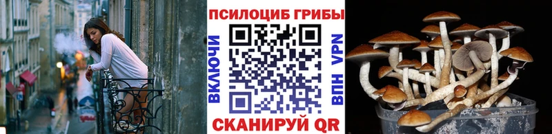 наркотики  Белореченск  Галлюциногенные грибы GOLDEN TEACHER 