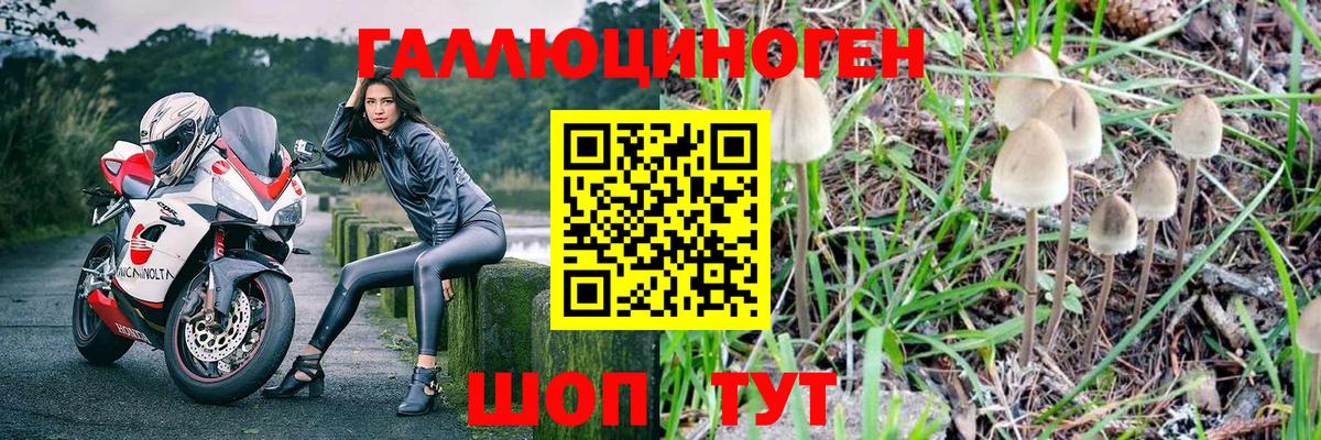 Белореченск  наркота  Псилоцибиновые грибы Psilocybine cubensis  Вход с VPN  Псилоцибиновые грибы мицелий 