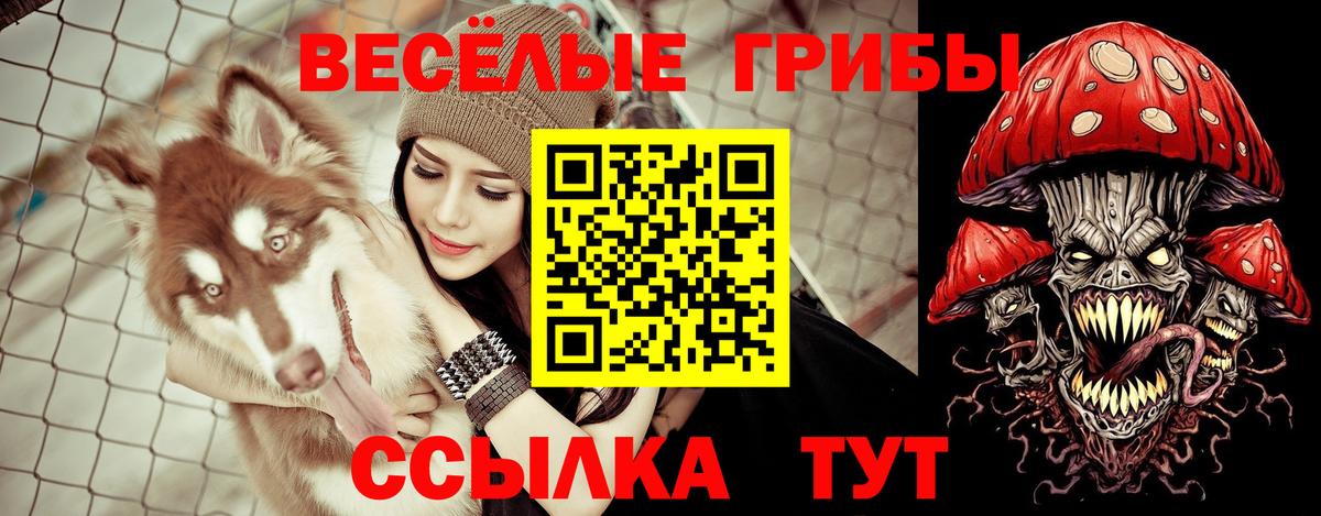 Псилоцибиновые грибы GOLDEN TEACHER Белореченск
