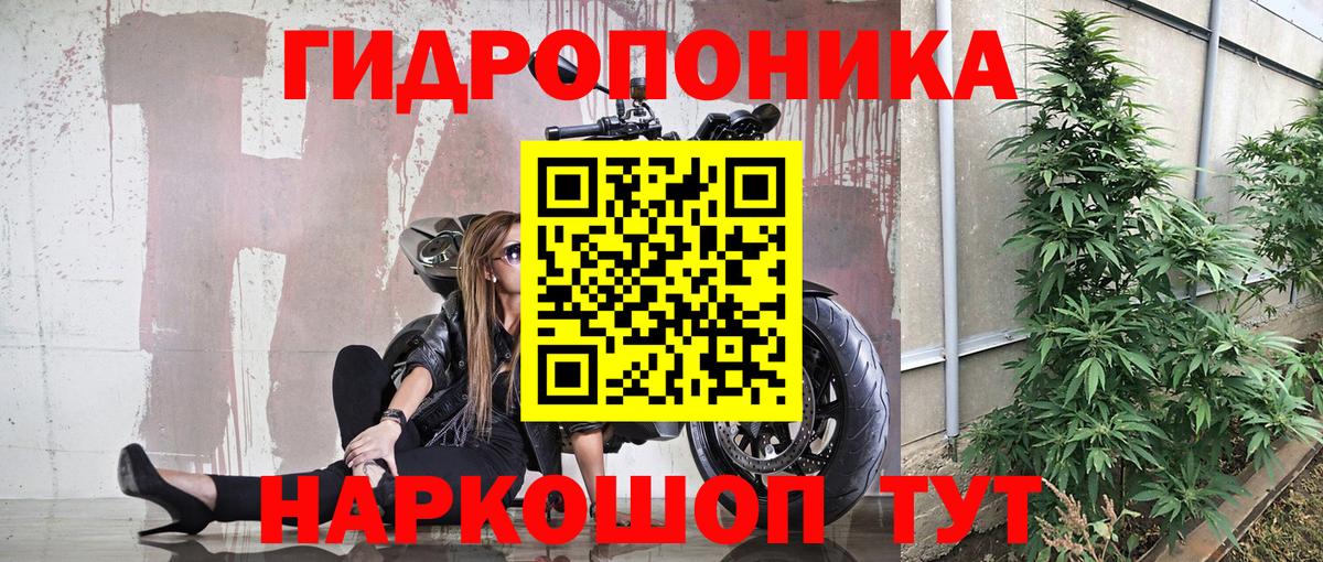Каннабис конопля Белореченск